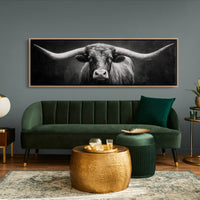 Black and White Longhorn Portrait on Dark Background