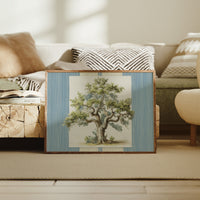 Weathered Olive Tree Study