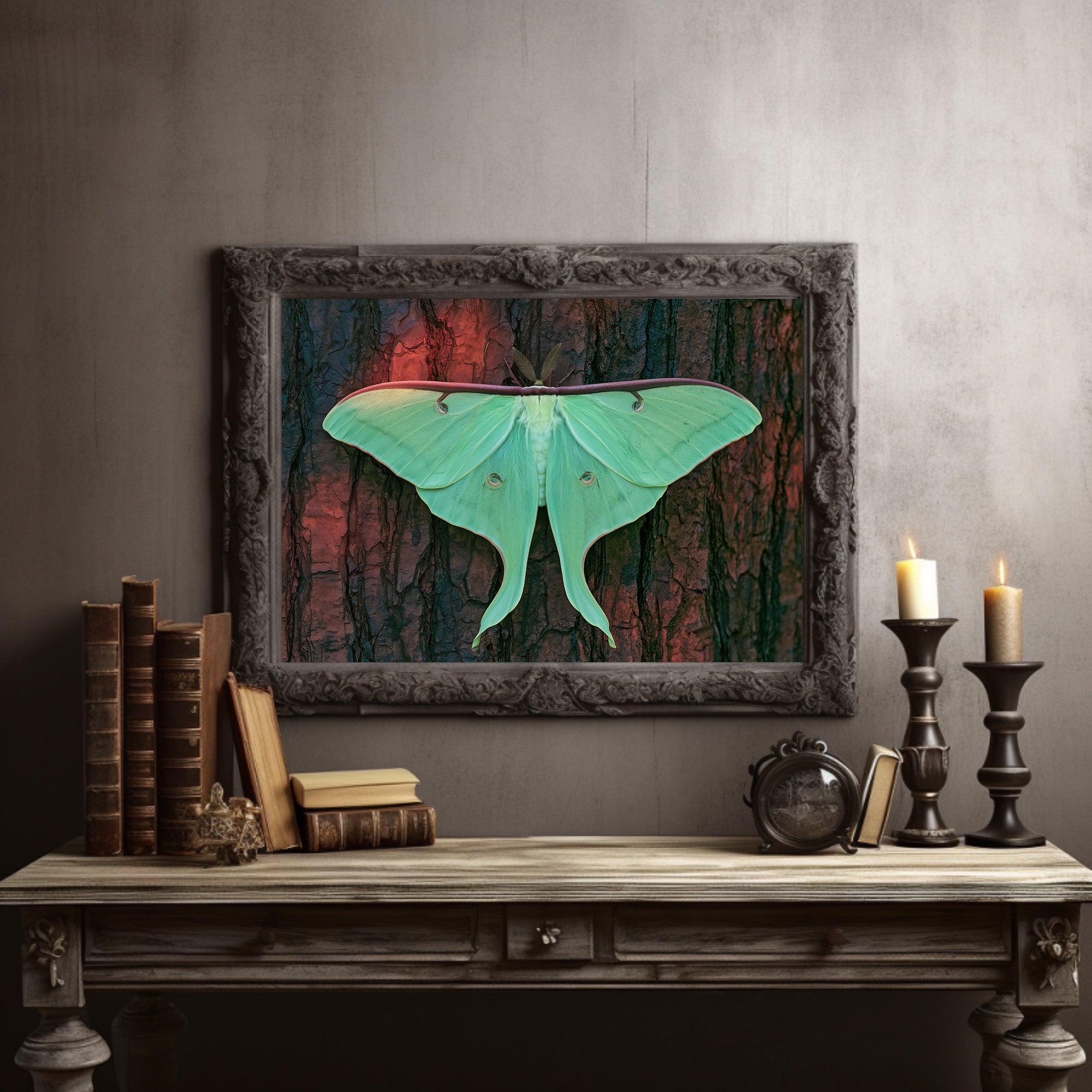 Luna Moth on Old Bark