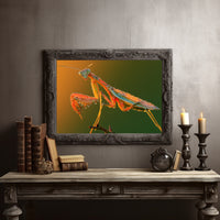 Dew-Kissed Mantis at Dawn
