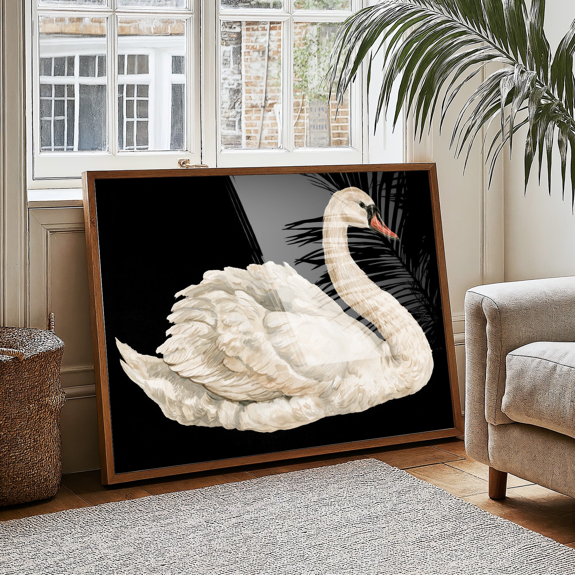 Swan, Study in White