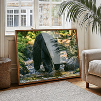 Black Bear at the Water's Edge