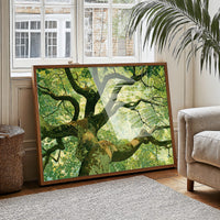 Beneath the Emerald Canopy