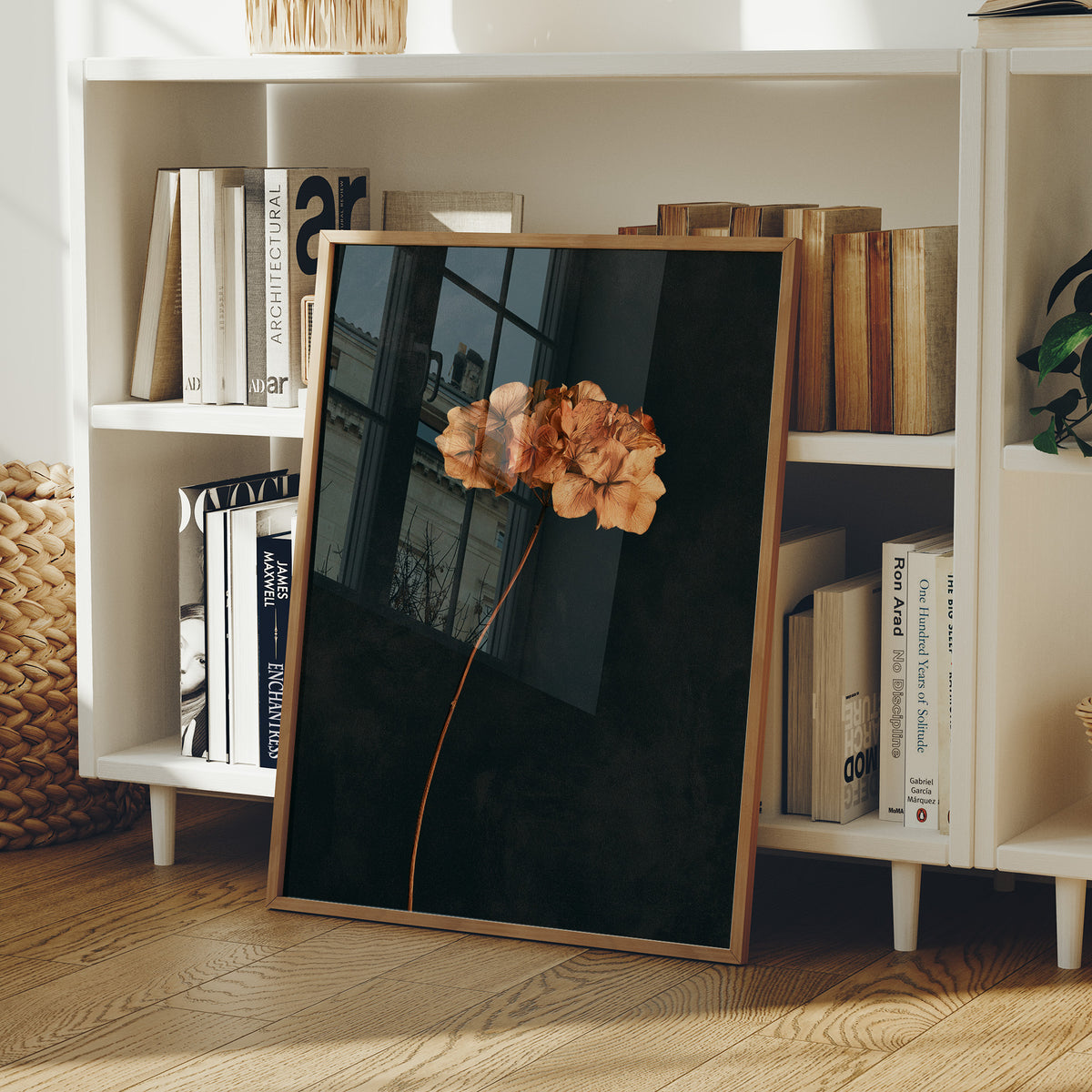 Dried Hydrangea Dark Still Life