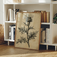 Thistle Study — Heavy Crosshatch Botanical Engraving