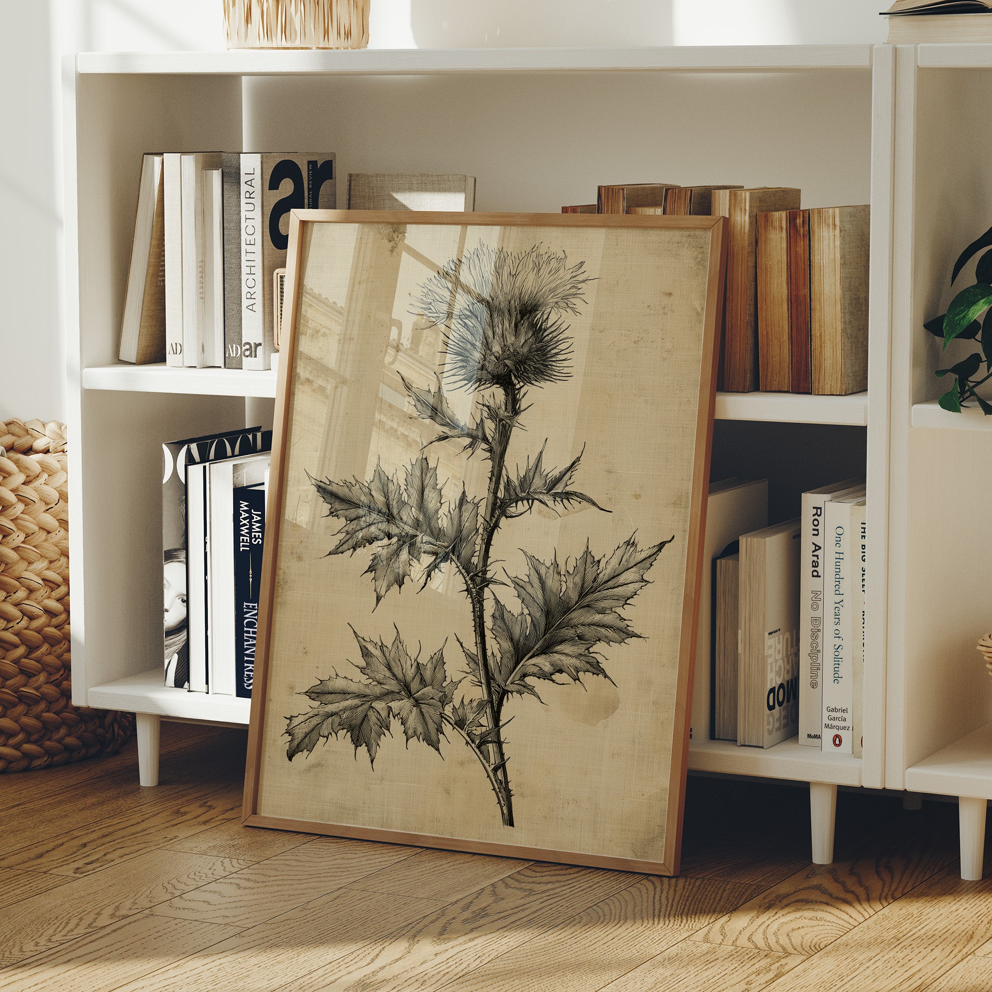 Thistle Study — Heavy Crosshatch Botanical Engraving
