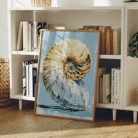 Golden Spiral, Nautilus Study