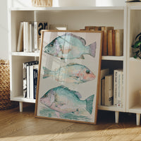 Three of a School: Coastal Fish Trio