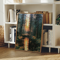 Into the Blaze: Shadowed Forest at Sunset