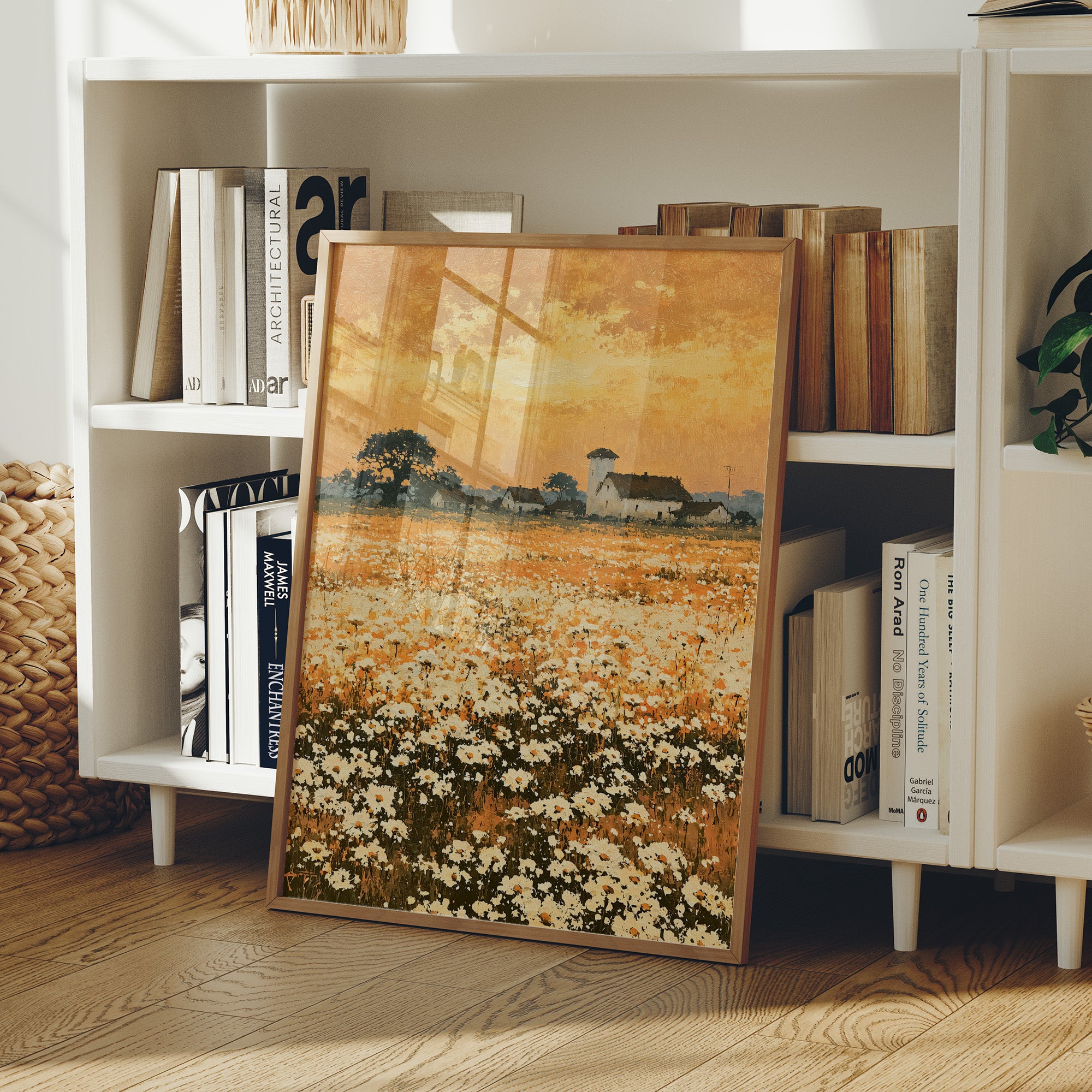 Daisy Fields at Golden Hour