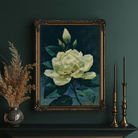 Ivory Bloom in Shadow
