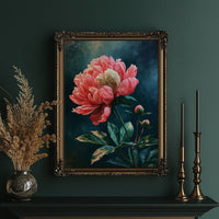 Coral Peony Against Midnight Blue