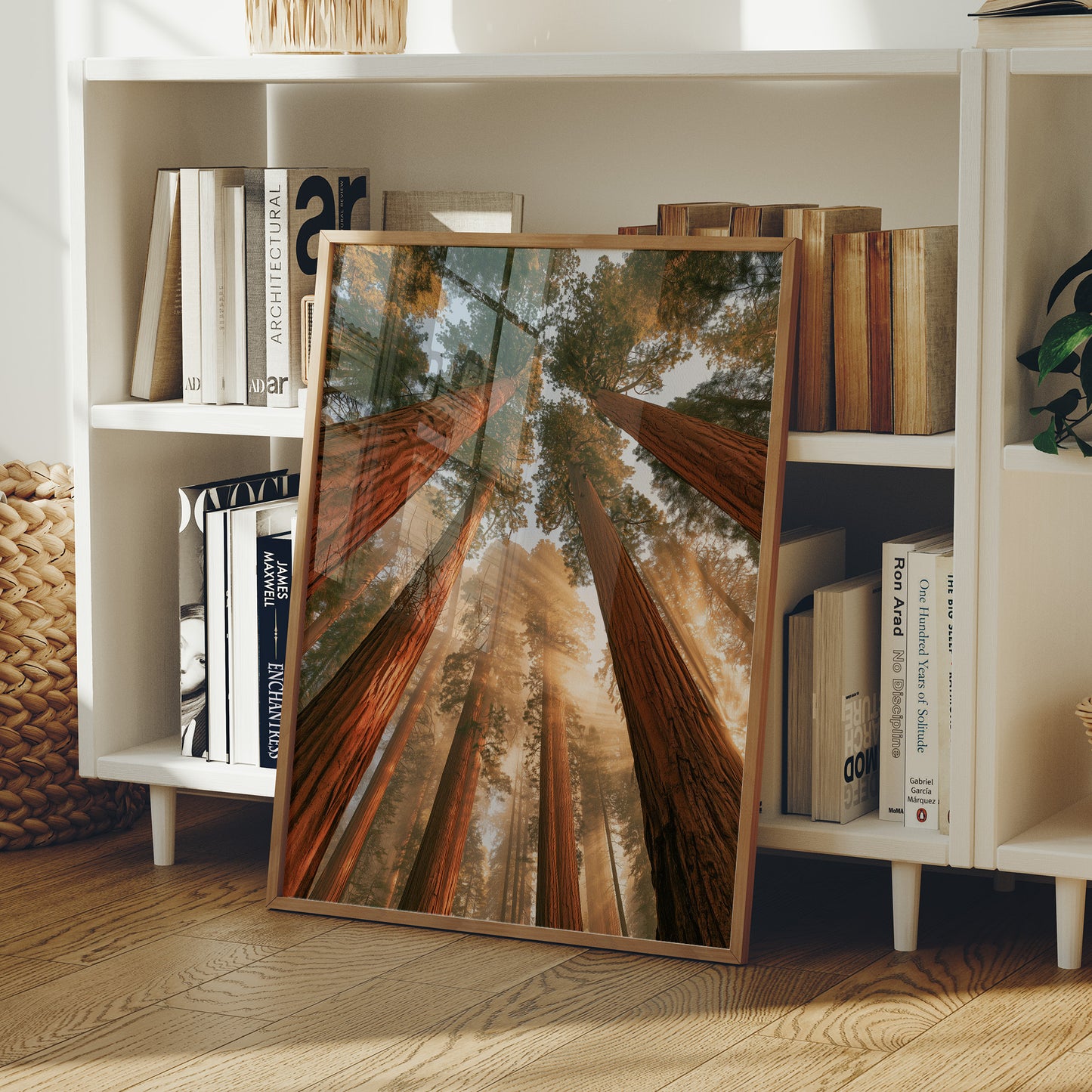 Cathedral of Redwoods