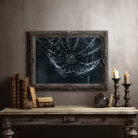 Web in the Shadows