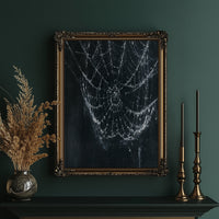 Web in the Dark