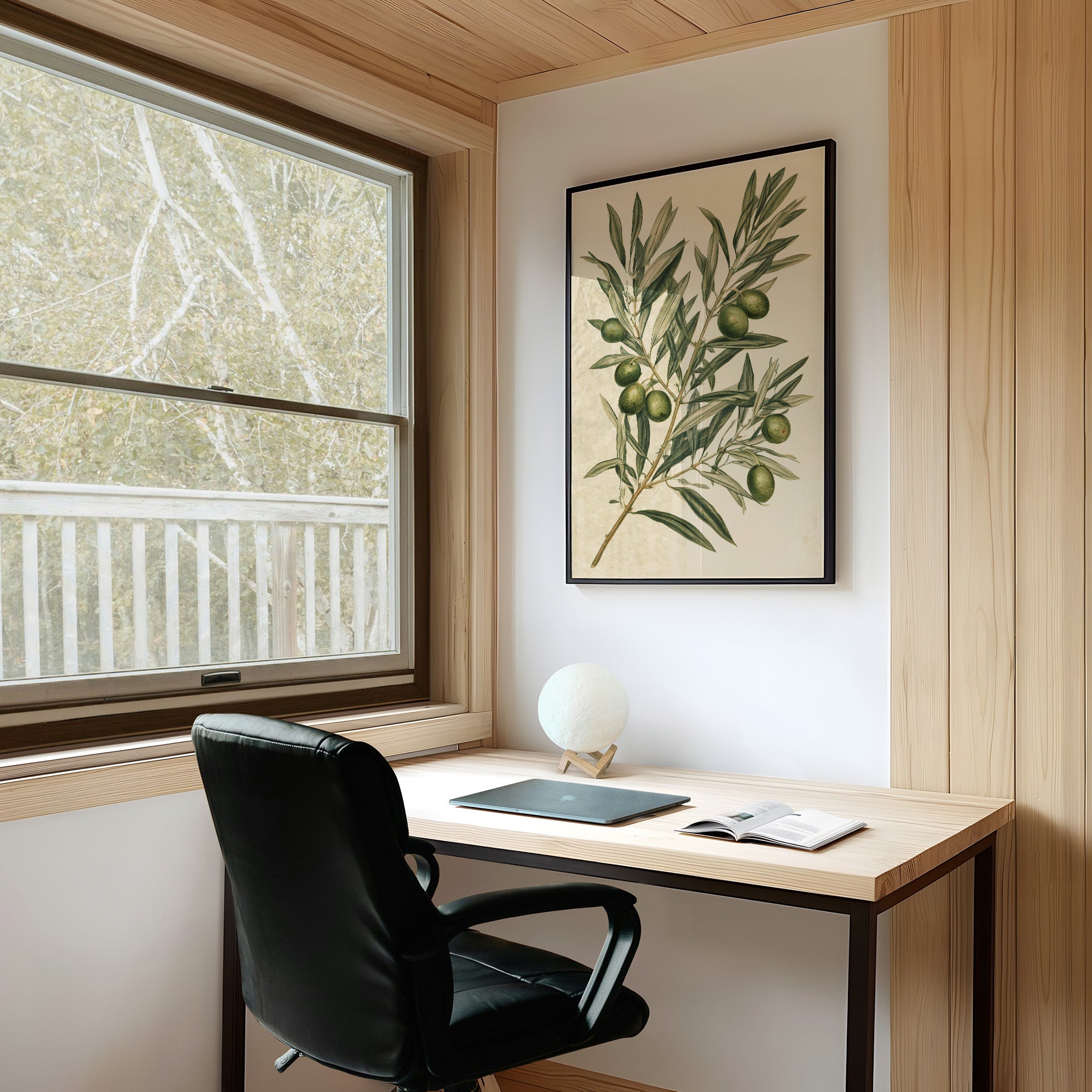 Olive Branch Botanical Study