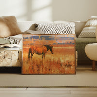 Bay Horse In Amber Grass