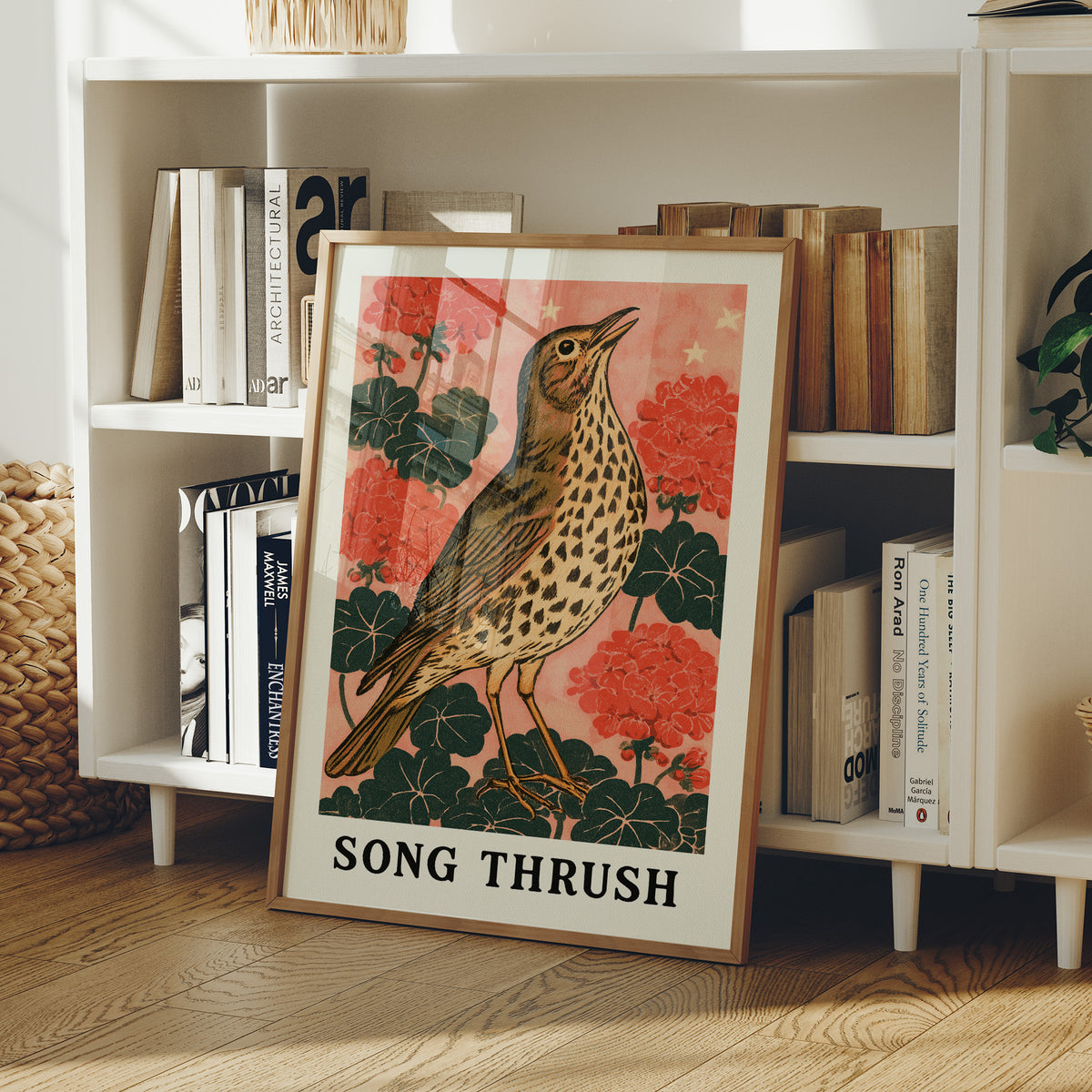 Song Thrush Among Geraniums