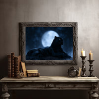 Night Owl, Technically Feline