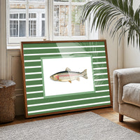 Striped Current Rainbow Catch