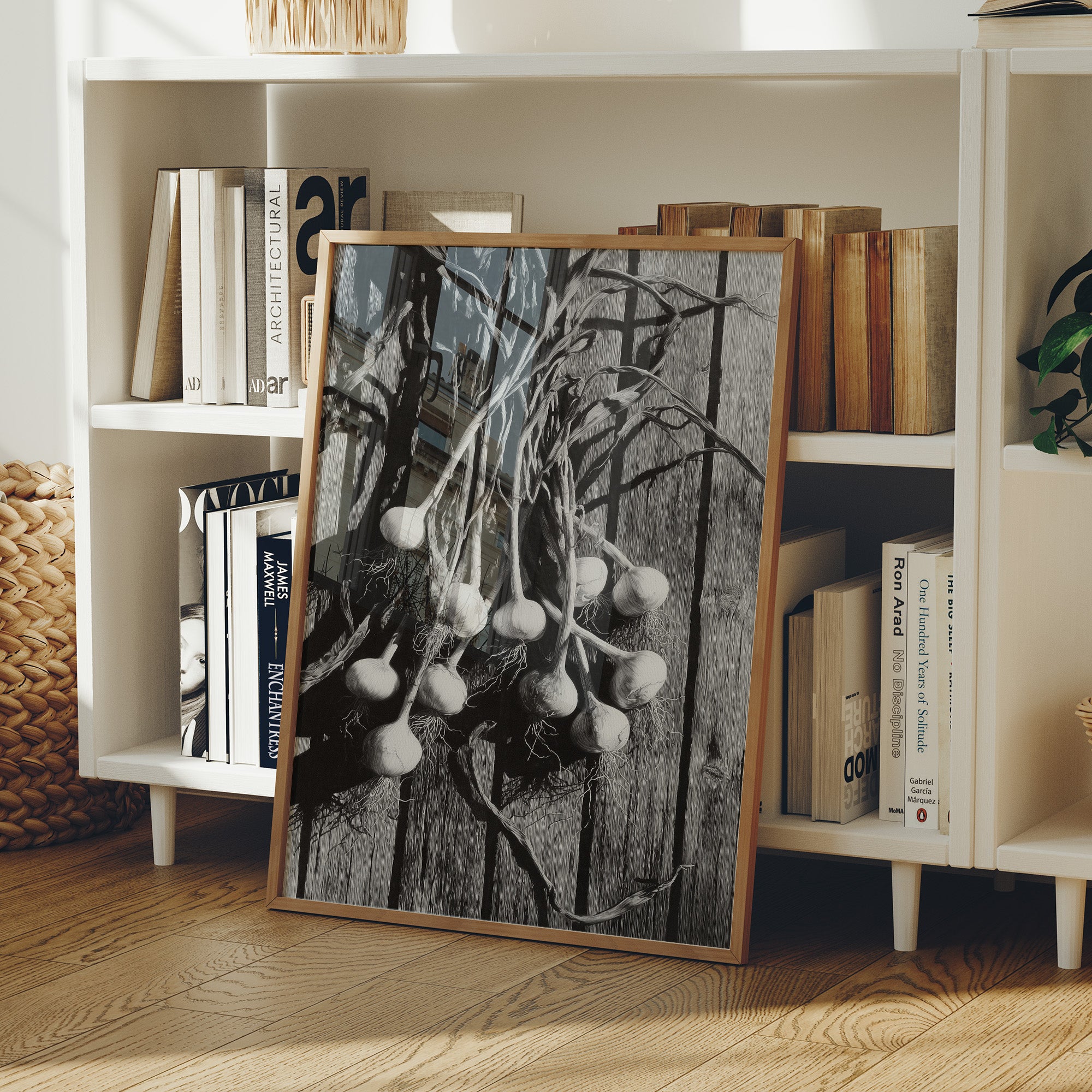Garlic Hanging In Shadow