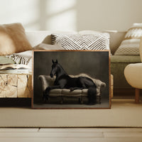 Midnight Elegance Reclined