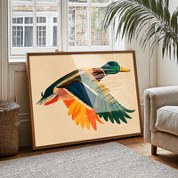 Mallard in Midair