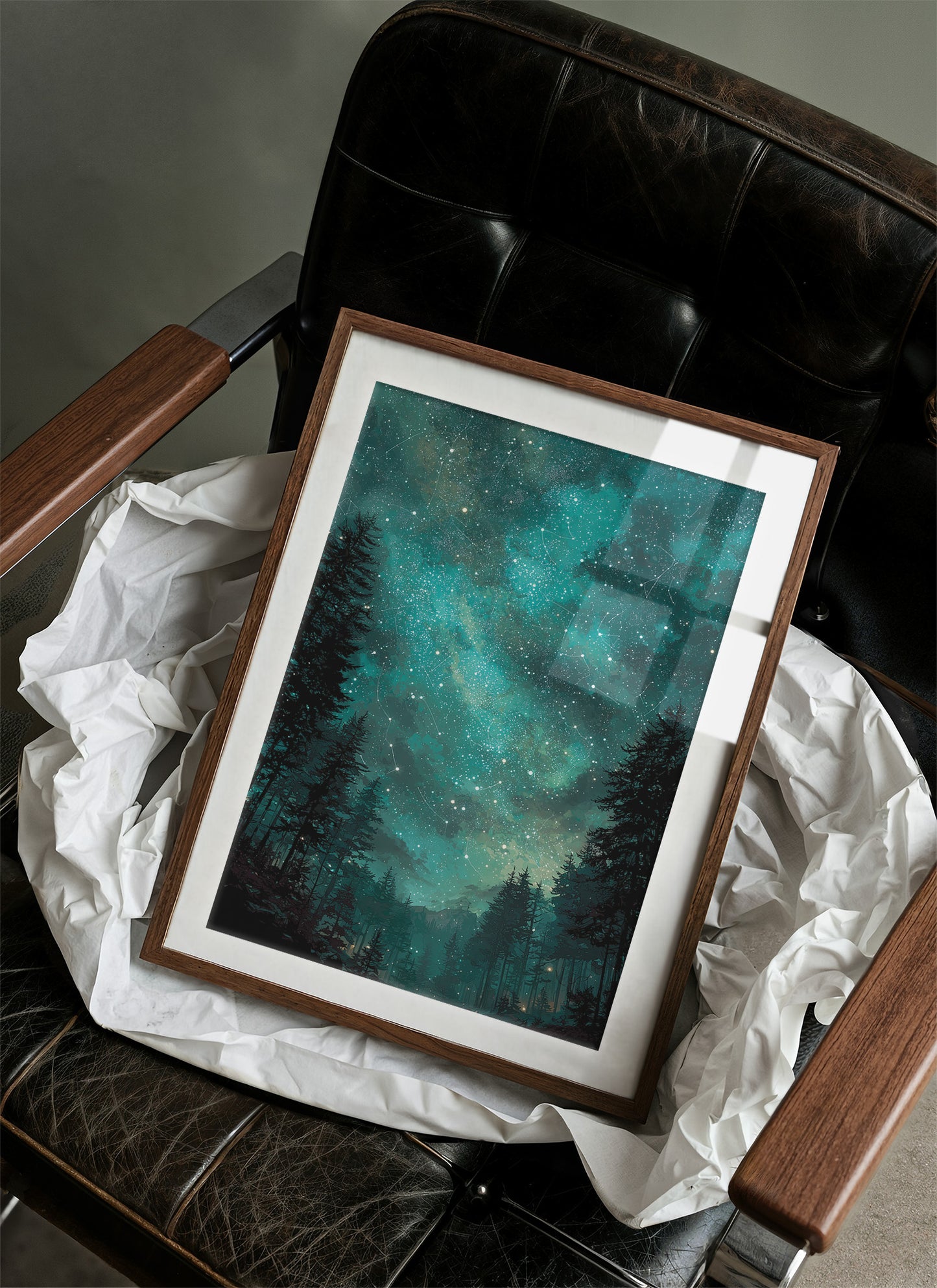 The Forest Opened Up To Stars