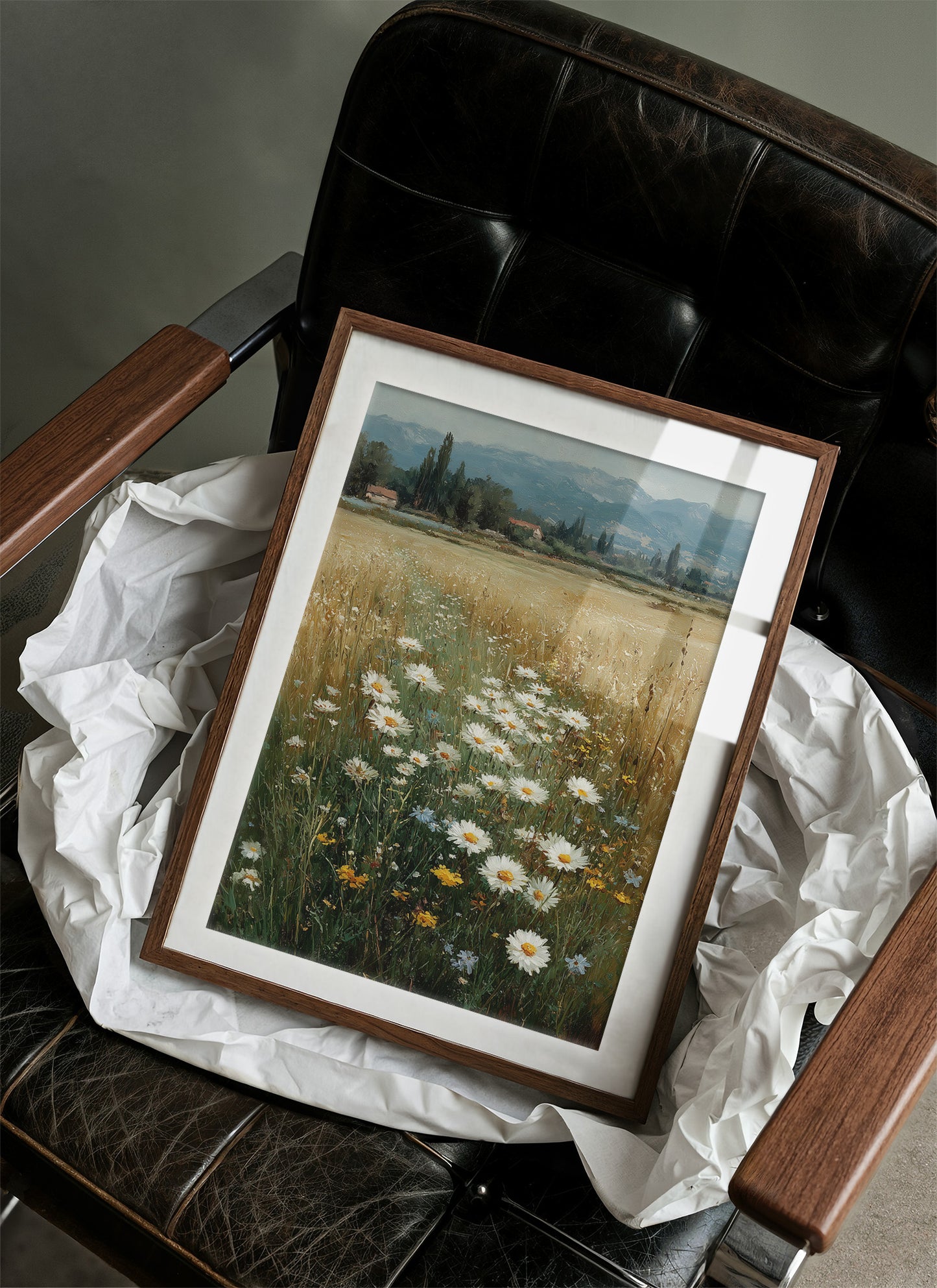 Daisies Where the Wheat Runs Out