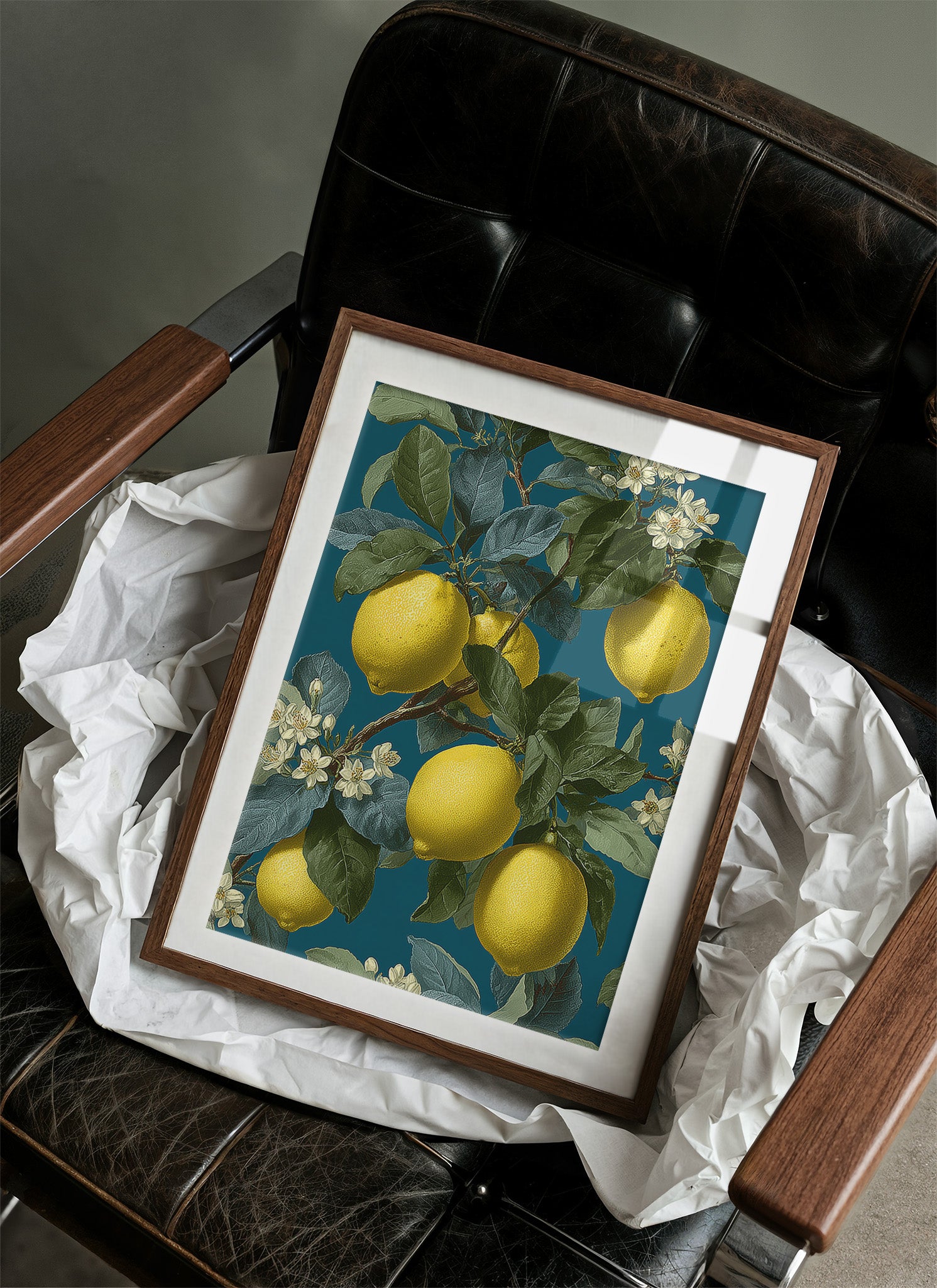 The Amalfi Tree Remembered Summer