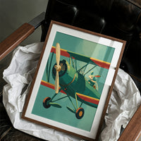 The Rabbit's Biplane