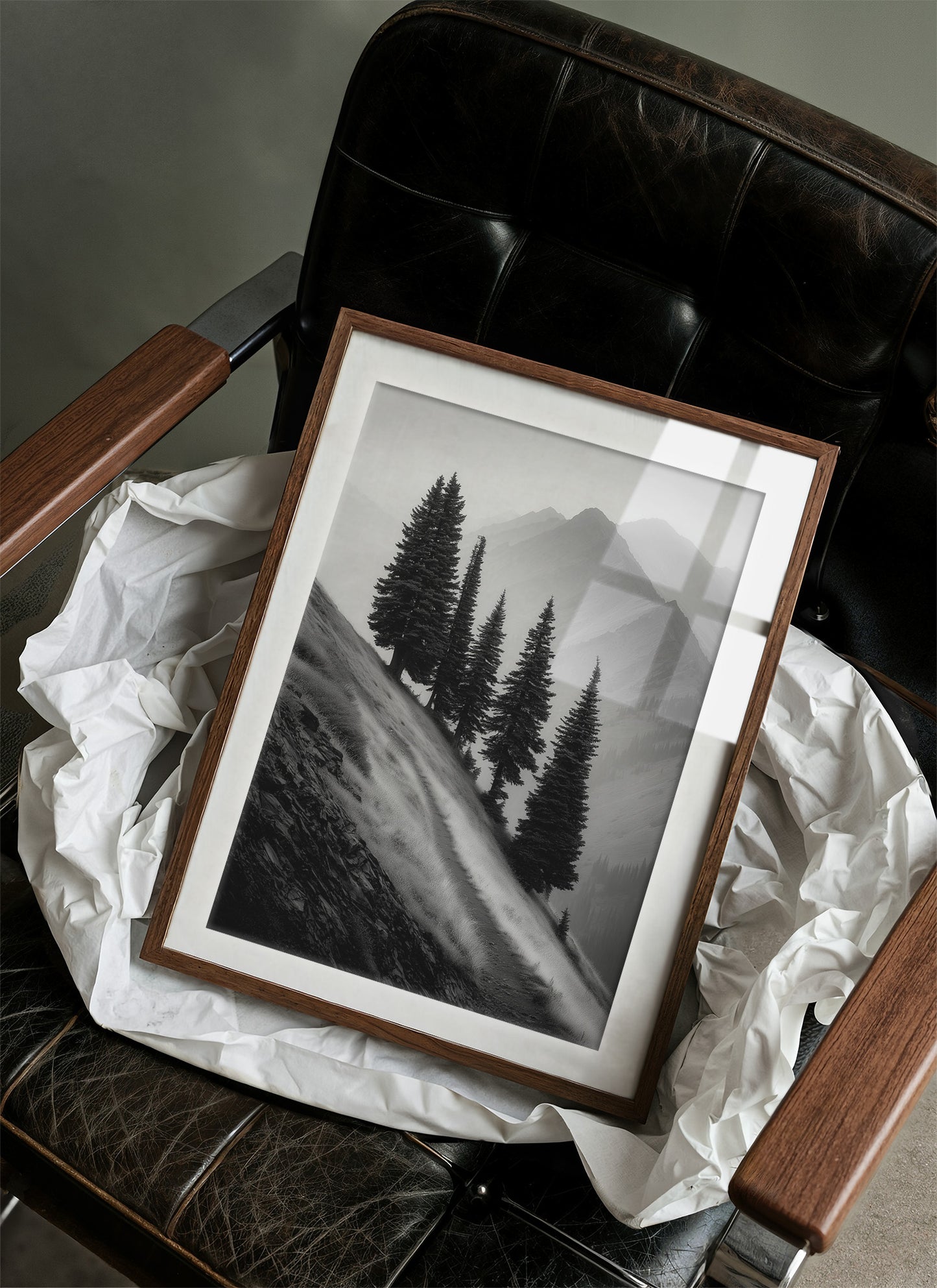 Windswept Timberline