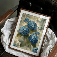 Hydrangeas in Full Bloom