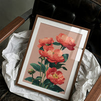 Coral Peonies in Bloom