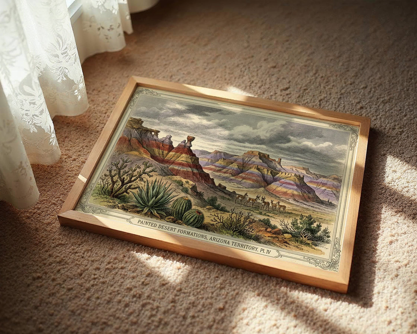 Painted Desert, Plate IV