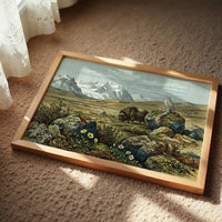 Tundra Watch, Owl and Musk Ox