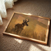 Pronghorn in Golden Grass