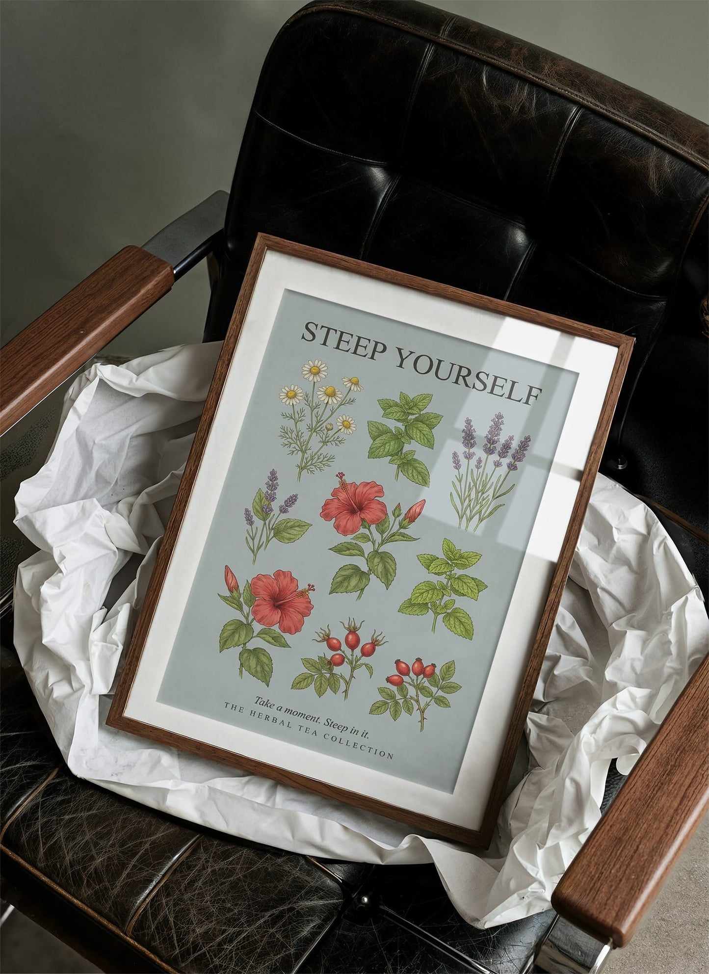 Steep Yourself: Vintage Herbal Tea Chart
