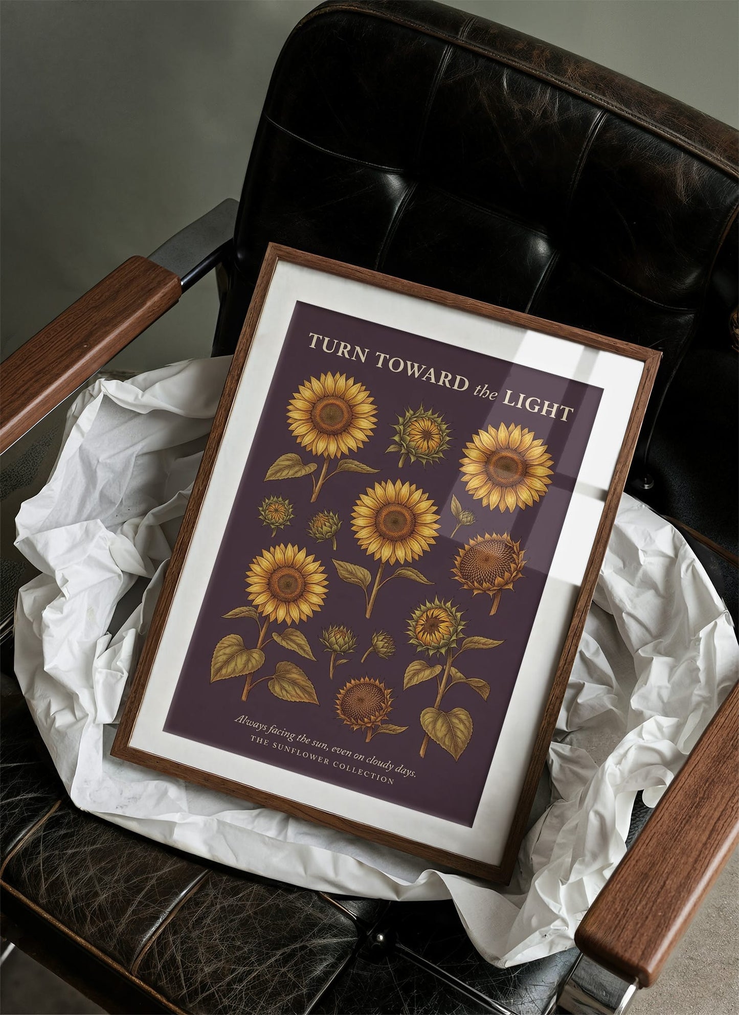 Turn Toward the Light: Vintage Sunflower Chart