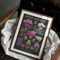 Stay Exotic: Vintage Orchid Chart