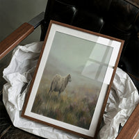 Highland Fog Grazing