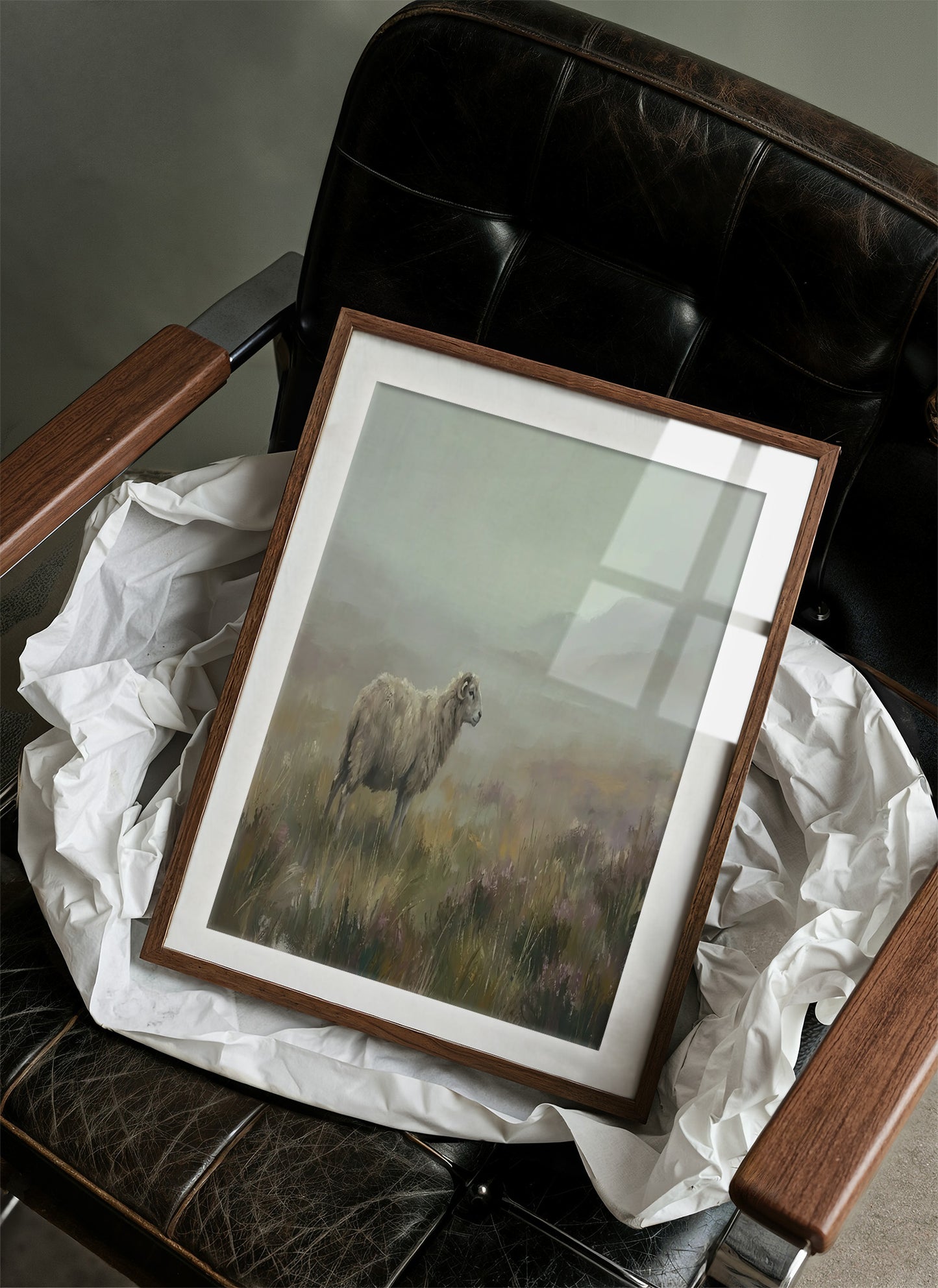 Highland Fog Grazing