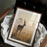 Impala at First Light