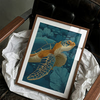 Turtle Among Coral Fans