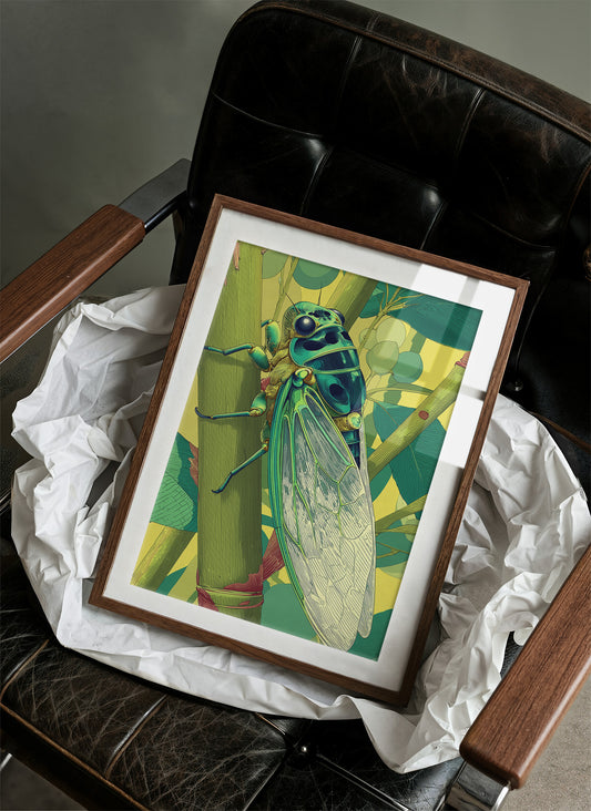 Cicada in Full Chorus
