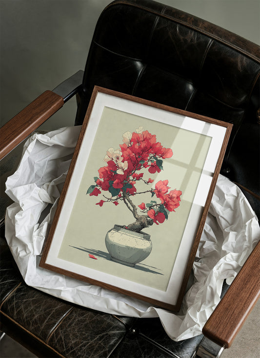 Bougainvillea in Bloom