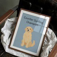 Counter Surfing Champion