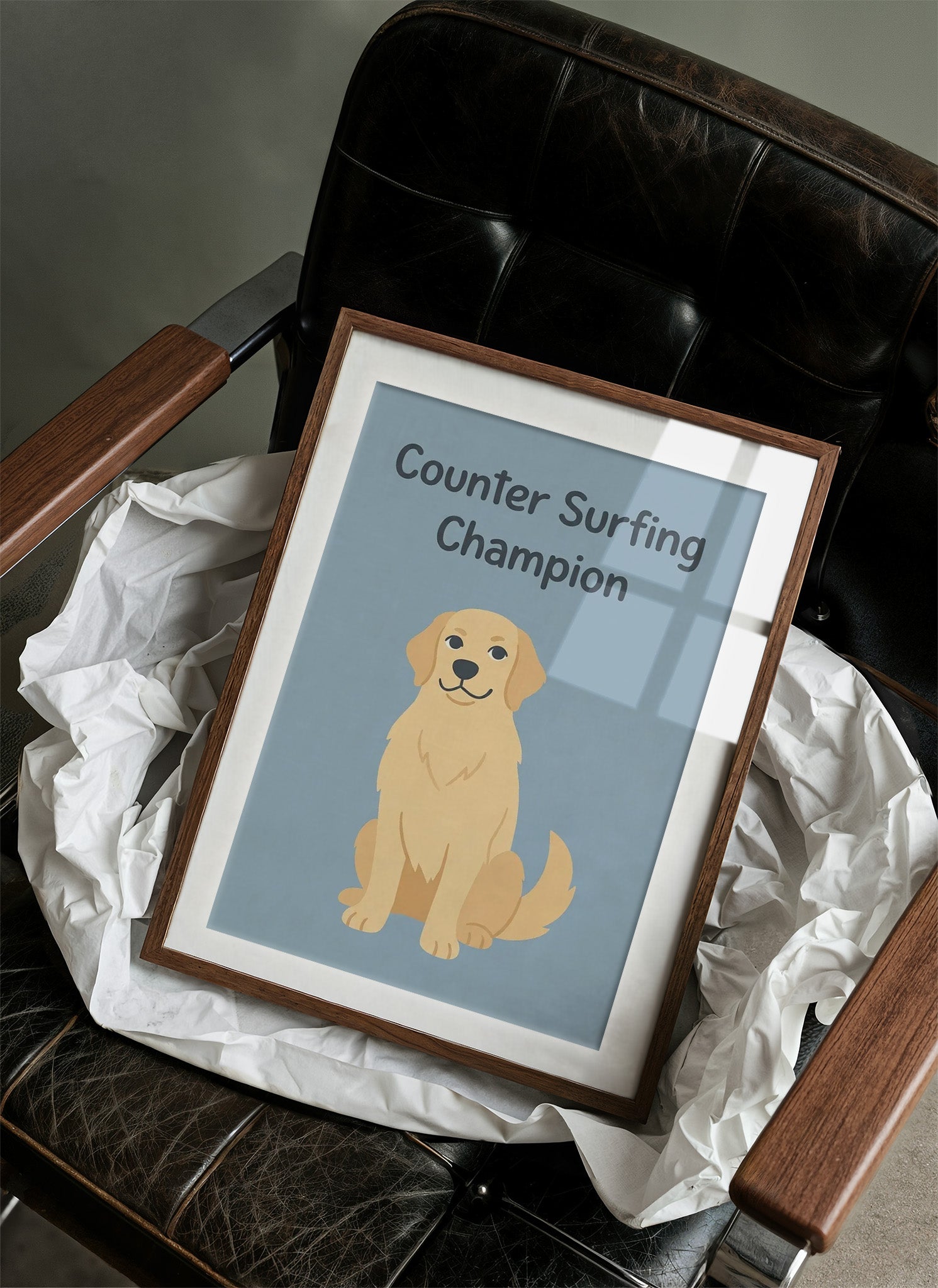 Counter Surfing Champion