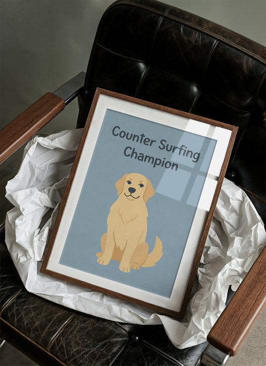 Counter Surfing Champion