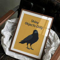 Shiny Objects Only